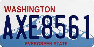 WA license plate AXE8561
