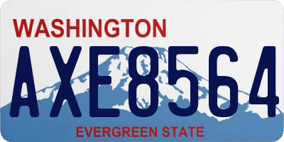 WA license plate AXE8564