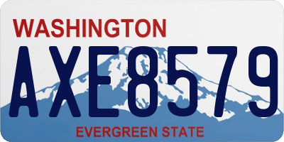 WA license plate AXE8579