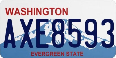 WA license plate AXE8593
