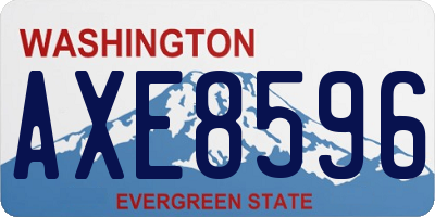 WA license plate AXE8596