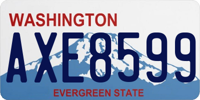 WA license plate AXE8599