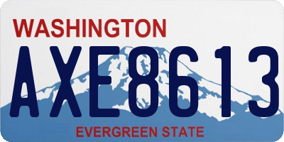 WA license plate AXE8613