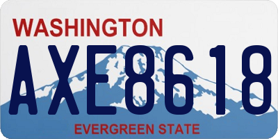 WA license plate AXE8618