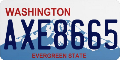 WA license plate AXE8665