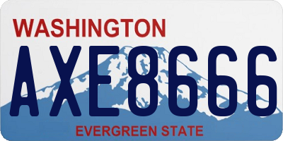 WA license plate AXE8666