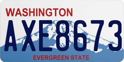 WA license plate AXE8673