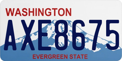 WA license plate AXE8675