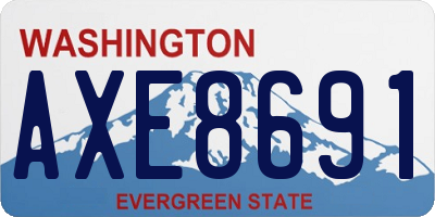 WA license plate AXE8691