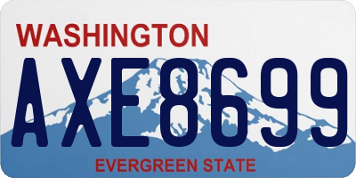 WA license plate AXE8699