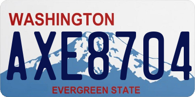 WA license plate AXE8704