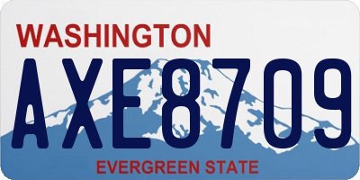 WA license plate AXE8709