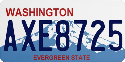 WA license plate AXE8725