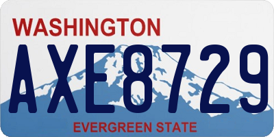 WA license plate AXE8729