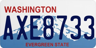 WA license plate AXE8733