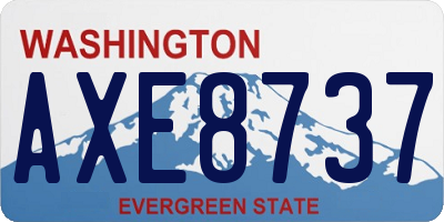WA license plate AXE8737