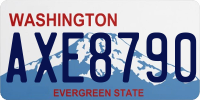 WA license plate AXE8790