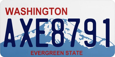 WA license plate AXE8791