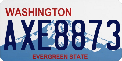 WA license plate AXE8873