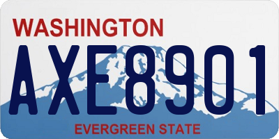 WA license plate AXE8901