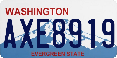 WA license plate AXE8919