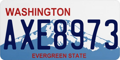 WA license plate AXE8973