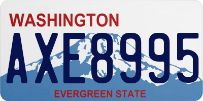 WA license plate AXE8995