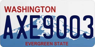 WA license plate AXE9003