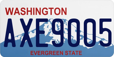 WA license plate AXE9005