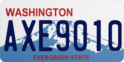 WA license plate AXE9010