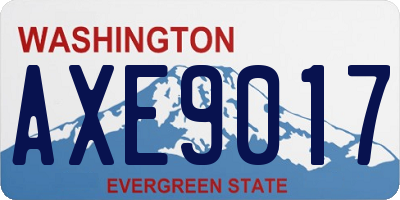 WA license plate AXE9017