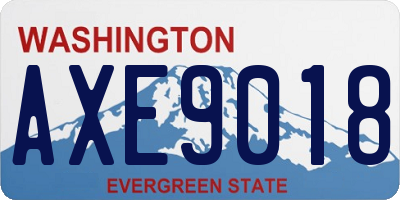 WA license plate AXE9018