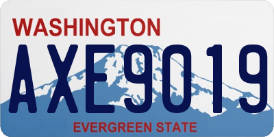 WA license plate AXE9019