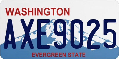 WA license plate AXE9025