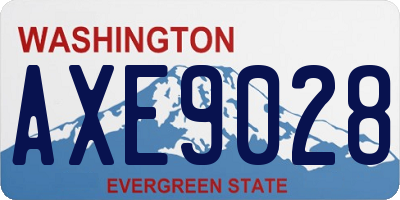 WA license plate AXE9028