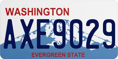 WA license plate AXE9029