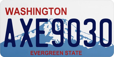 WA license plate AXE9030
