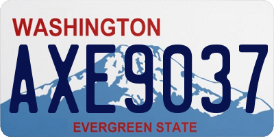 WA license plate AXE9037