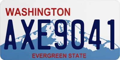 WA license plate AXE9041
