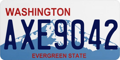 WA license plate AXE9042