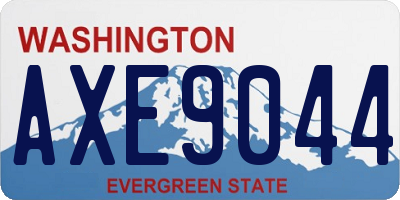 WA license plate AXE9044