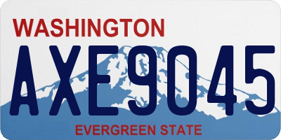 WA license plate AXE9045