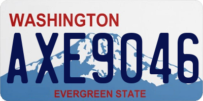 WA license plate AXE9046