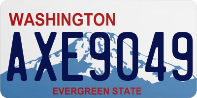 WA license plate AXE9049