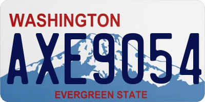 WA license plate AXE9054