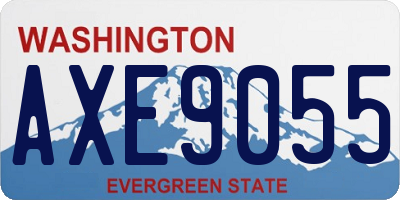 WA license plate AXE9055