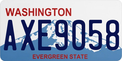 WA license plate AXE9058