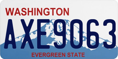 WA license plate AXE9063