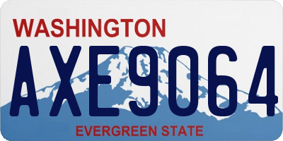 WA license plate AXE9064