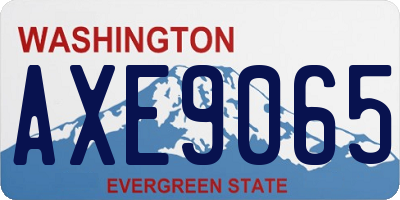 WA license plate AXE9065